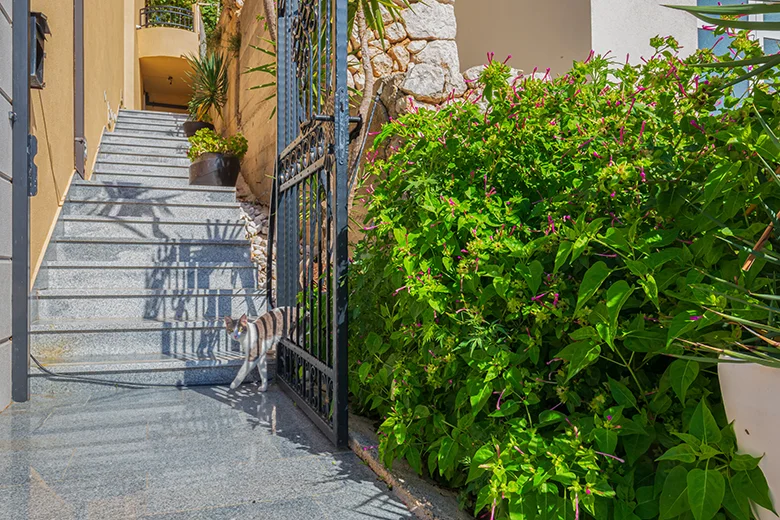 entrance to the house - apartments Gudelj, Drašnice