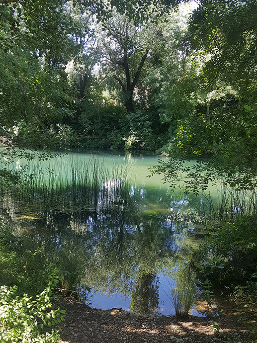 Villa Imota, surrounding